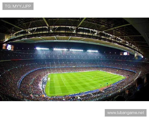 历届浙江省散手锦标赛世界杯体育论坛